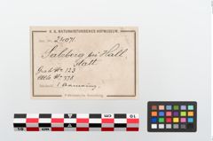Etikett zu Bronzearmreif (NHMW-PRAE-024071)